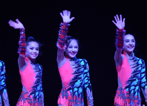 National Gymnastics Arena in Baku hosts Novruz show. Azerbaijan, 19 match, 2016